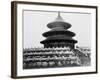 Temple of Heaven in Peking China Photograph - Peking, China-Lantern Press-Framed Art Print