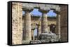 Temple of Hera (The Basilica) 530 Bc, Oldest Greek Temple at Paestum, Campania, Italy-Eleanor Scriven-Framed Stretched Canvas