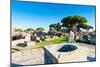 Temple of Hercules, Statue of Cartilius Poplicola, Ostia Antica archaeological site-Nico Tondini-Mounted Photographic Print