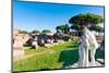 Temple of Hercules, Statue of Cartilius Poplicola, Ostia Antica archaeological site-Nico Tondini-Mounted Photographic Print