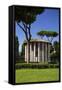 Temple of Hercules Victor, Forum Boarium, 2nd Century Bc, Rome, Lazio, Italy, Europe-Peter-Framed Stretched Canvas