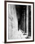 Temple of Horus at Edfu, 20th Century-Science Source-Framed Premium Giclee Print