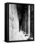 Temple of Horus at Edfu, 20th Century-Science Source-Framed Stretched Canvas