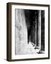 Temple of Horus at Edfu, 20th Century-Science Source-Framed Giclee Print