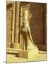 Temple of Horus, Idfu, Aswan, Egypt-Robert Harding-Mounted Photographic Print