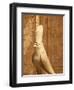 Temple of Horus-Stuart Westmorland-Framed Photographic Print