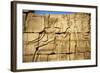 Temple of Karnak, Egypt-Ken Gillham-Framed Photographic Print