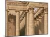 Temple of Mrn, Hatra, Unesco World Heritage Site, Iraq, Middle East-Nico Tondini-Mounted Photographic Print