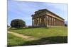 Temple of Neptune, 450 Bc, Largest and Best Preserved Greek Temple at Paestum, Campania, Italy-Eleanor Scriven-Mounted Photographic Print