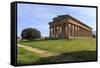 Temple of Neptune, 450 Bc, Largest and Best Preserved Greek Temple at Paestum, Campania, Italy-Eleanor Scriven-Framed Stretched Canvas