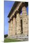 Temple of Neptune, 450 Bc, Largest and Best Preserved Greek Temple at Paestum, Campania, Italy-Eleanor Scriven-Mounted Photographic Print