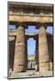 Temple of Neptune, 450 Bc, Largest and Best Preserved Greek Temple at Paestum, Campania, Italy-Eleanor Scriven-Mounted Photographic Print