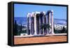 Temple of Olympian Zeus, Athens, Greece, 130-null-Framed Stretched Canvas