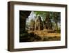 Temple of Prasat Pram (Prasat Bram), Dated 9th to 12th Century, Temple Complex of Koh Ker-Nathalie Cuvelier-Framed Photographic Print