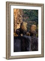 Temple of Prasat Tao Build by King Jayavarman Ii Dated 9th Century, Sambor Prei Kuk-Nathalie Cuvelier-Framed Photographic Print