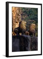 Temple of Prasat Tao Build by King Jayavarman Ii Dated 9th Century, Sambor Prei Kuk-Nathalie Cuvelier-Framed Photographic Print