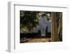 Temple of Prasat Thom (Prasat Kompeng), Dated 9th to 12th Century, Temple Complex of Koh Ker-Nathalie Cuvelier-Framed Photographic Print