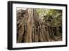 Temple of Ta Prohm, Angkor, UNESCO World Heritage Site-Ben Pipe-Framed Photographic Print