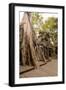 Temple of Ta Prohm, Angkor, UNESCO World Heritage Site-Ben Pipe-Framed Photographic Print