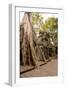 Temple of Ta Prohm, Angkor, UNESCO World Heritage Site-Ben Pipe-Framed Photographic Print