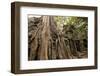 Temple of Ta Prohm, Angkor, UNESCO World Heritage Site-Ben Pipe-Framed Photographic Print