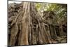 Temple of Ta Prohm, Angkor, UNESCO World Heritage Site-Ben Pipe-Mounted Photographic Print