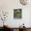 Temple of the Golden Pavilion, Kyoto, Japan-David Poole-Photographic Print displayed on a wall