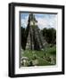 Temple of the Great Jaguar in the Grand Plaza, Mayan Ruins, Tikal, Peten-Robert Francis-Framed Photographic Print