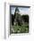 Temple of the Great Jaguar in the Grand Plaza, Mayan Ruins, Tikal, Peten-Robert Francis-Framed Photographic Print