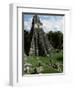 Temple of the Great Jaguar in the Grand Plaza, Mayan Ruins, Tikal, Peten-Robert Francis-Framed Photographic Print