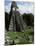 Temple of the Great Jaguar in the Grand Plaza, Mayan Ruins, Tikal, Peten-Robert Francis-Mounted Photographic Print