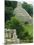 Temple of the Inscriptions (Mayan), Palenque, Mexico, Central America-Robert Francis-Mounted Premium Photographic Print