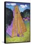 Temple of the Jaguar (Tikal)-John Newcomb-Framed Stretched Canvas