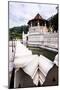 Temple of the Sacred Tooth Relic (Temple of the Tooth) (Sri Dalada Maligawa) in Kandy-Matthew Williams-Ellis-Mounted Photographic Print