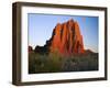 Temple of the Sun, Lower Cathedral Valley, Colorado Plateau, Capitol Reef National Park, Utah, USA-Scott T. Smith-Framed Photographic Print