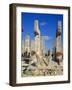 Temple of the Warriers, Chichen Itza, Mexico-Adina Tovy-Framed Photographic Print