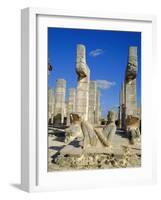 Temple of the Warriers, Chichen Itza, Mexico-Adina Tovy-Framed Photographic Print