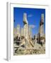 Temple of the Warriers, Chichen Itza, Mexico-Adina Tovy-Framed Photographic Print