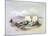 Temple of Wady Saboua, Nubia, 19th Century-David Roberts-Mounted Giclee Print