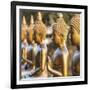 Temple Pathway - Detail-Peter Adams-Framed Giclee Print