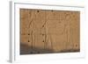 Temple Relief and Hieroglyphics, Karnak, Luxor, Egypt-Peter Adams-Framed Photographic Print