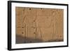 Temple Relief and Hieroglyphics, Karnak, Luxor, Egypt-Peter Adams-Framed Photographic Print