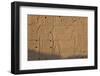 Temple Relief and Hieroglyphics, Karnak, Luxor, Egypt-Peter Adams-Framed Photographic Print