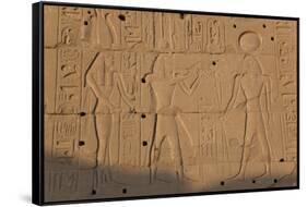 Temple Relief and Hieroglyphics, Karnak, Luxor, Egypt-Peter Adams-Framed Stretched Canvas