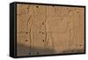 Temple Relief and Hieroglyphics, Karnak, Luxor, Egypt-Peter Adams-Framed Stretched Canvas