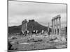 Temple Ruins, Palmyra-null-Mounted Photographic Print