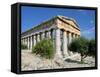 Temple, Segesta, Sicily, Italy-Peter Thompson-Framed Stretched Canvas