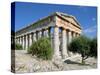 Temple, Segesta, Sicily, Italy-Peter Thompson-Stretched Canvas