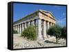 Temple, Segesta, Sicily, Italy-Peter Thompson-Framed Stretched Canvas