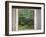 Temple Window, Sesshuji, Kyoto, Japan-Rob Tilley-Framed Premium Photographic Print